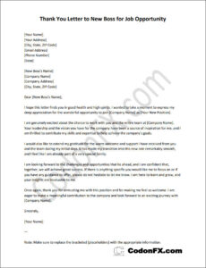 Thank You Letter to New Boss for Job Opportunity